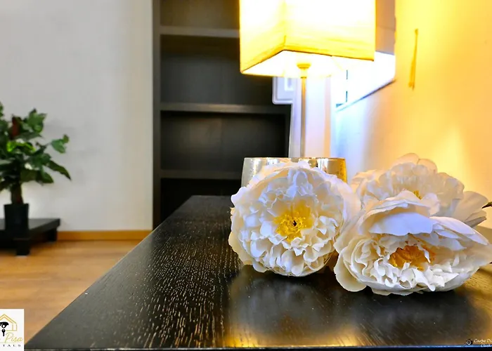 Inn Pisa Rentals 2- San Francesco Flat